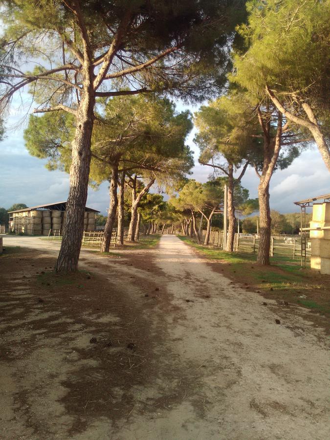 Biocampus La Roccaccia - Universita' Agraria Di تاركوينيا المظهر الخارجي الصورة