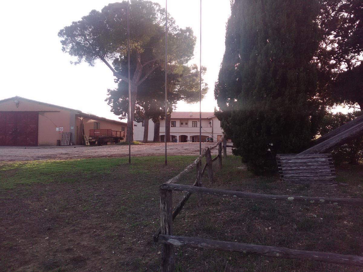 Biocampus La Roccaccia - Universita' Agraria Di تاركوينيا المظهر الخارجي الصورة