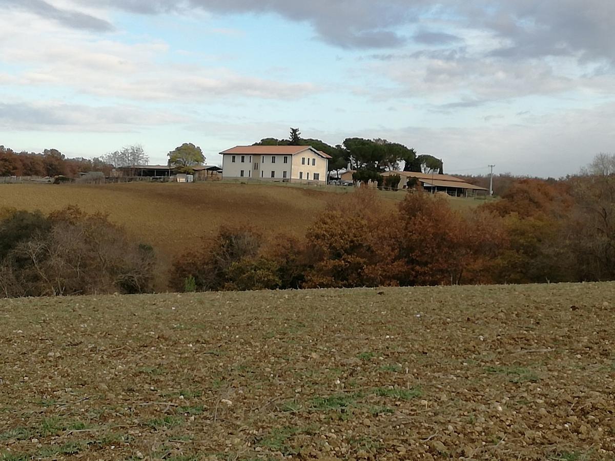 Biocampus La Roccaccia - Universita' Agraria Di تاركوينيا المظهر الخارجي الصورة